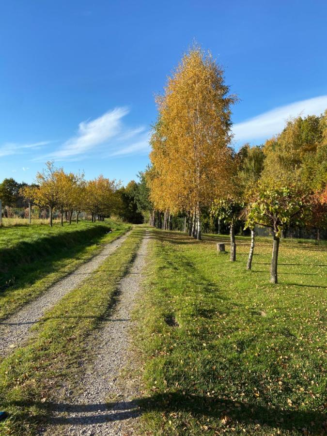 Szmaragdowy Domek Nowy Wisnicz المظهر الخارجي الصورة
