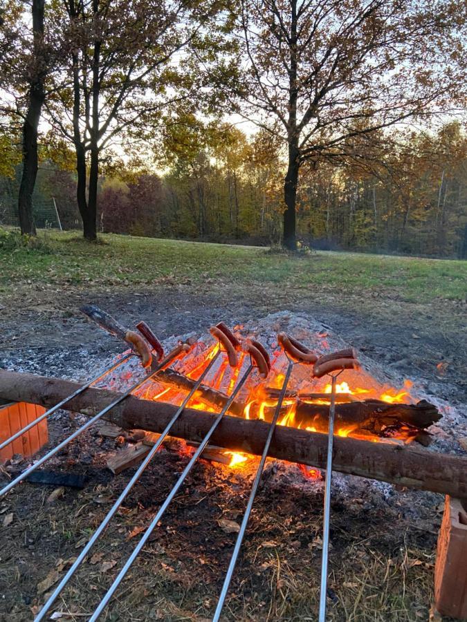 Szmaragdowy Domek Nowy Wisnicz المظهر الخارجي الصورة